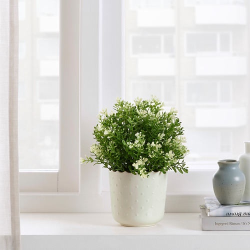 SESAMFRÖN - 花盆, 室內/戶外用 淺乳白色 | IKEA 線上購物 - PE809502_S4