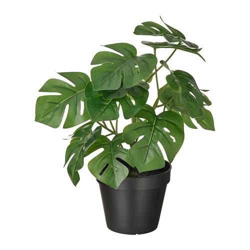 FEJKA - 人造盆栽, 室內/戶外用 龜背芋, 12 公分 | IKEA 線上購物 - PE809439_S4