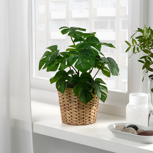 FEJKA - 人造盆栽, 室內/戶外用 龜背芋 | IKEA 線上購物 - PE809440_S4