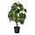 FEJKA - 人造盆栽, 室內/戶外用 山葡萄 | IKEA 線上購物 - PE809452_S1