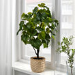 FEJKA artificial potted plant