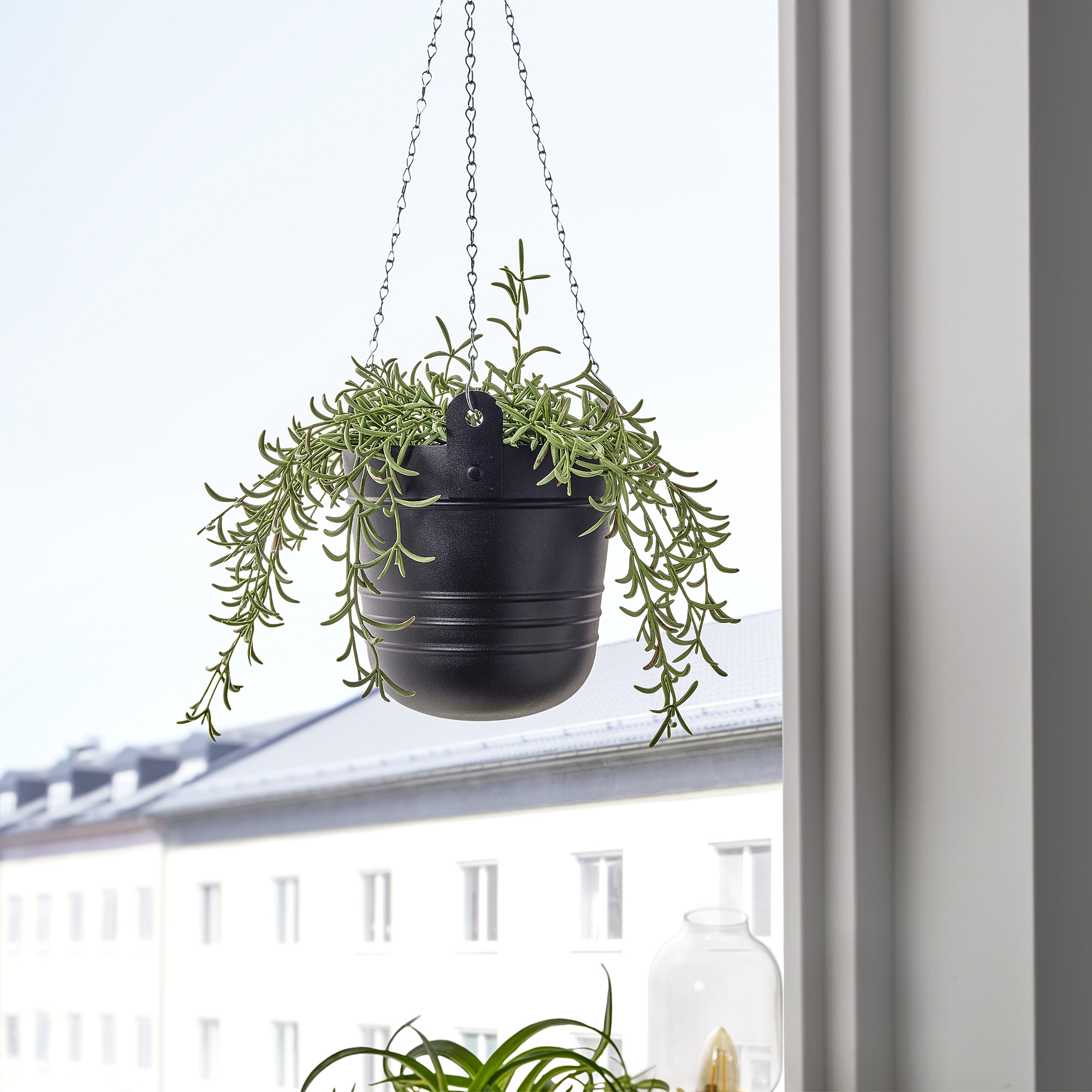 PÄRLRÖNN hanging planter