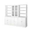 HAVSTA storage combination w glass doors