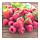 DOFTA - 香氛裝飾品, 香味/紅莓 紅色 | IKEA 線上購物 - PE607168_S1