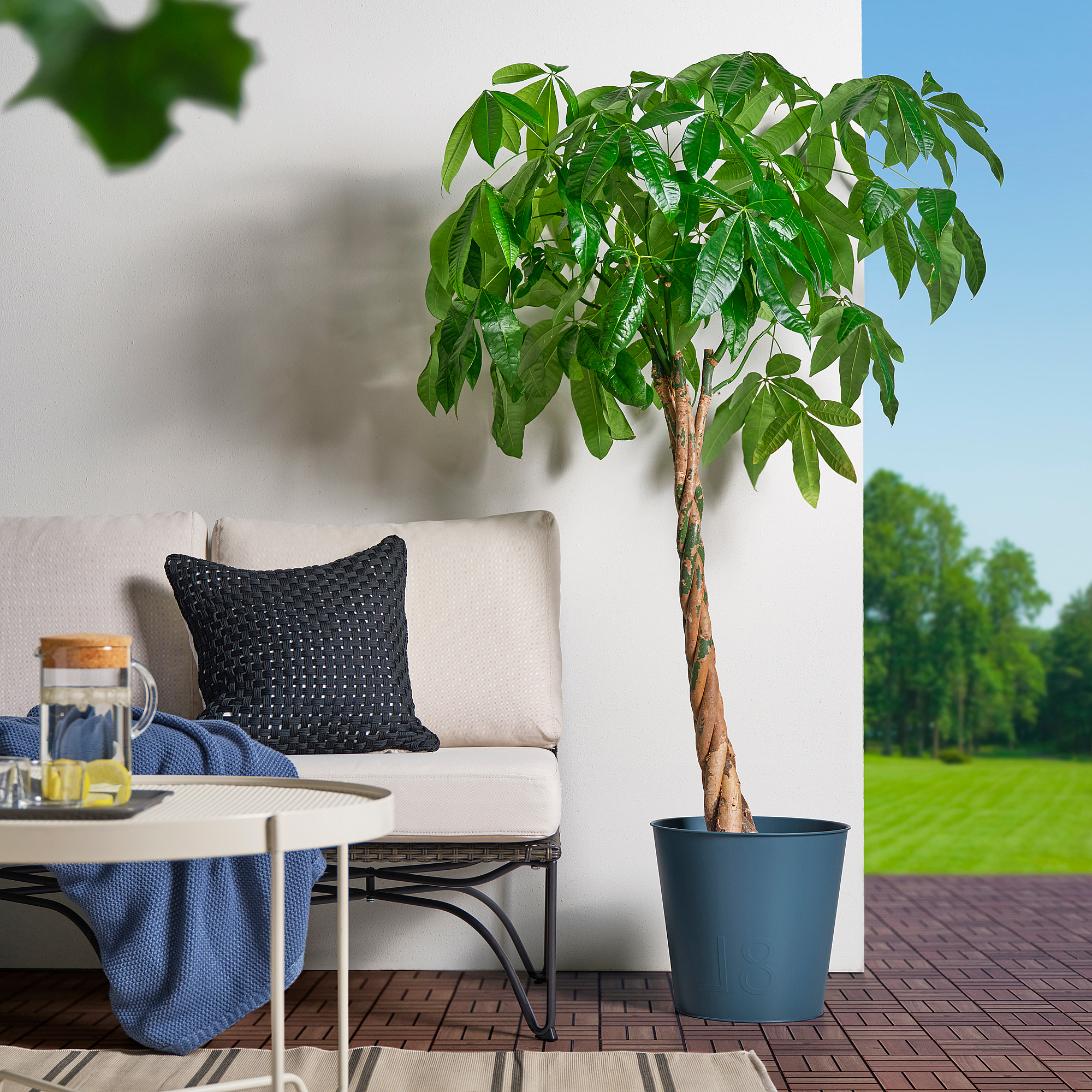 ÅKERBÄR plant pot