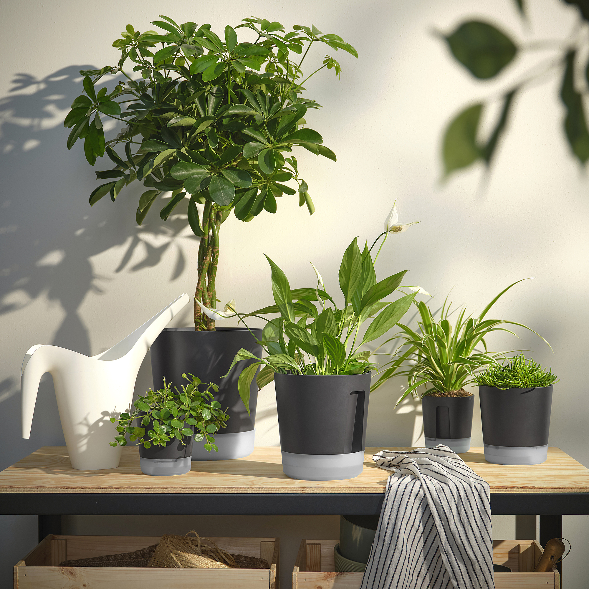 VÅRDTRÄD 自動給水花盆