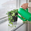VÅRDTRÄD self-watering plant pot