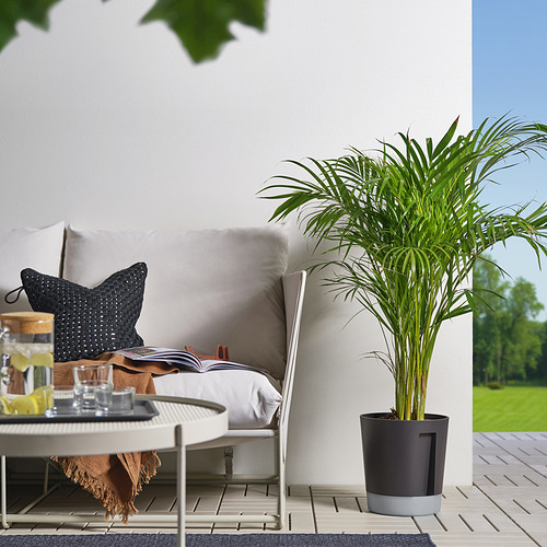 VÅRDTRÄD self-watering plant pot