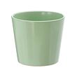 SOJABÖNA plant pot