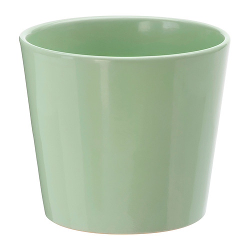SOJABÖNA plant pot
