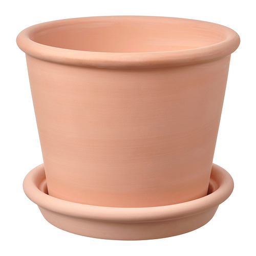 MUSKOTBLOMMA - plant pot with saucer, in/outdoor terracotta, 15 cm | IKEA Taiwan Online - PE890882_S4