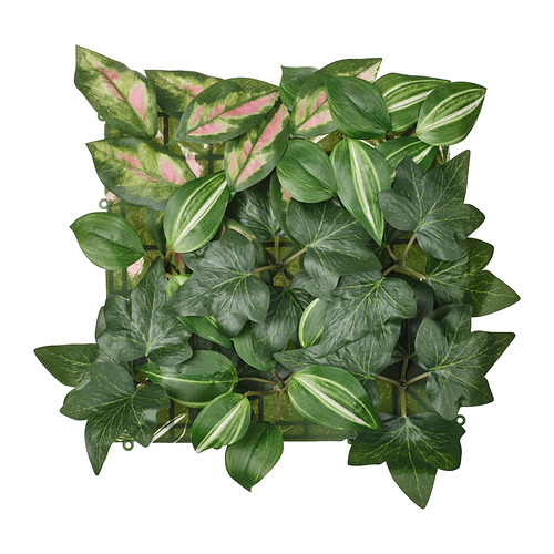 FEJKA - 人造植物, 上牆式/室內/戶外用 ., 25x25 公分 | IKEA 線上購物 - PE995605_S4