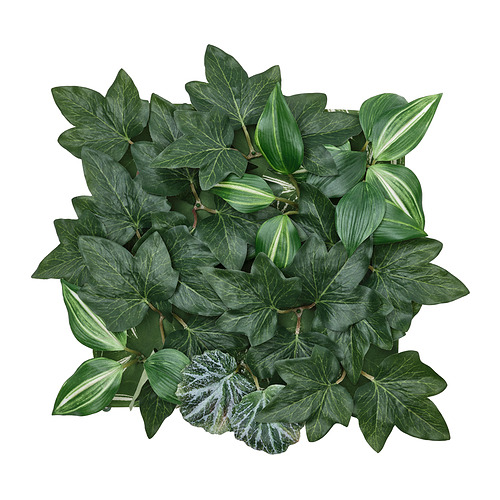 FEJKA - 人造植物, 上牆式 室內/戶外用/枝葉, 25x25 公分 | IKEA 線上購物 - PE995607_S4