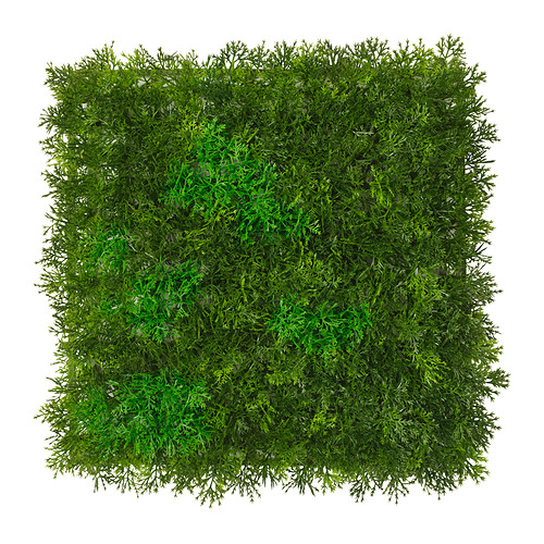FEJKA - artificial plant, wall mounted/in/outdoor moss, 25x25 cm | IKEA Taiwan Online - PE995606_S4