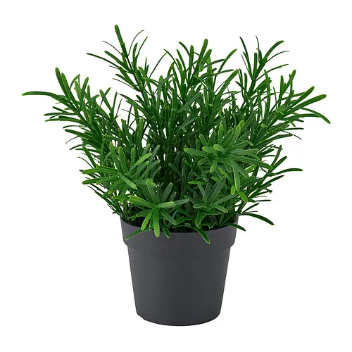 FEJKA - 人造盆栽, 室內/戶外用/迷迭香, 9 公分 | IKEA 線上購物 - PE995612_S4