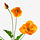 SMYCKA - 人造花, 室內/戶外用/罌粟花 橘色 | IKEA 線上購物 - PE810060_S1