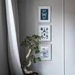 KNOPPÄNG frame