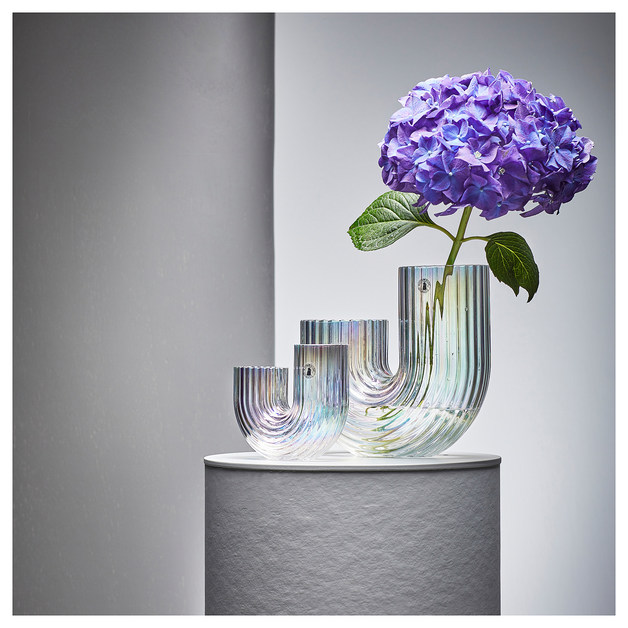 RÄFFELBJÖRK vase