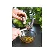 KONCIS garlic press