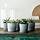NYPON - 花盆, 室內/戶外用 灰色 | IKEA 線上購物 - PE754532_S1