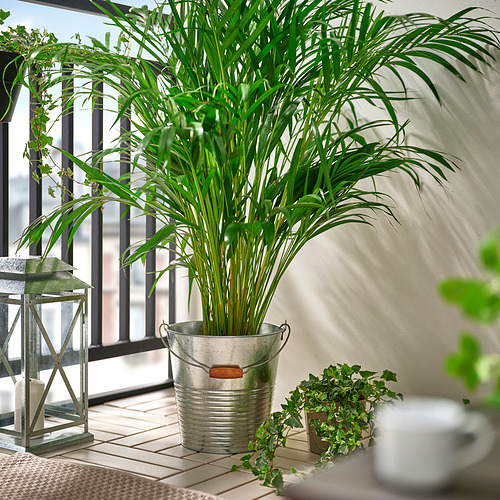 KORKGRAN 提桶/花盆