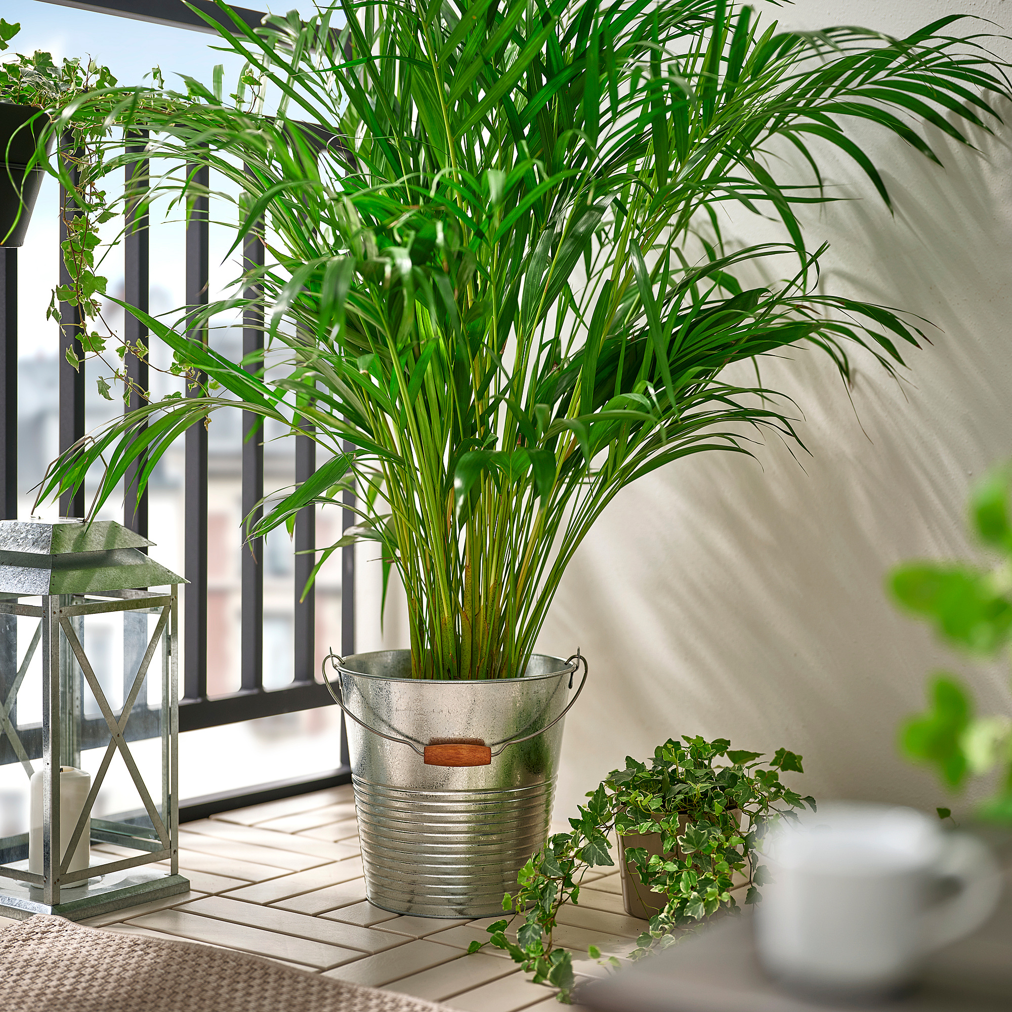 KORKGRAN 提桶/花盆