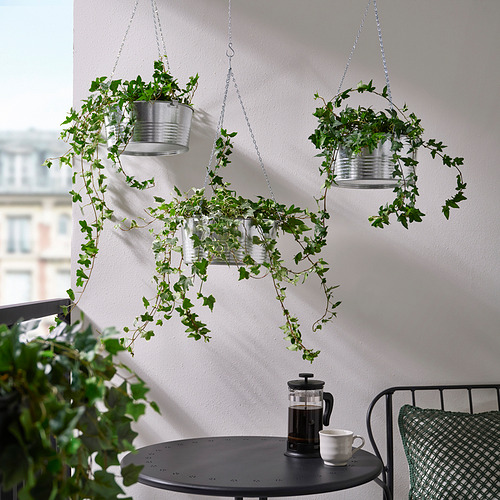 KORKGRAN hanging planter