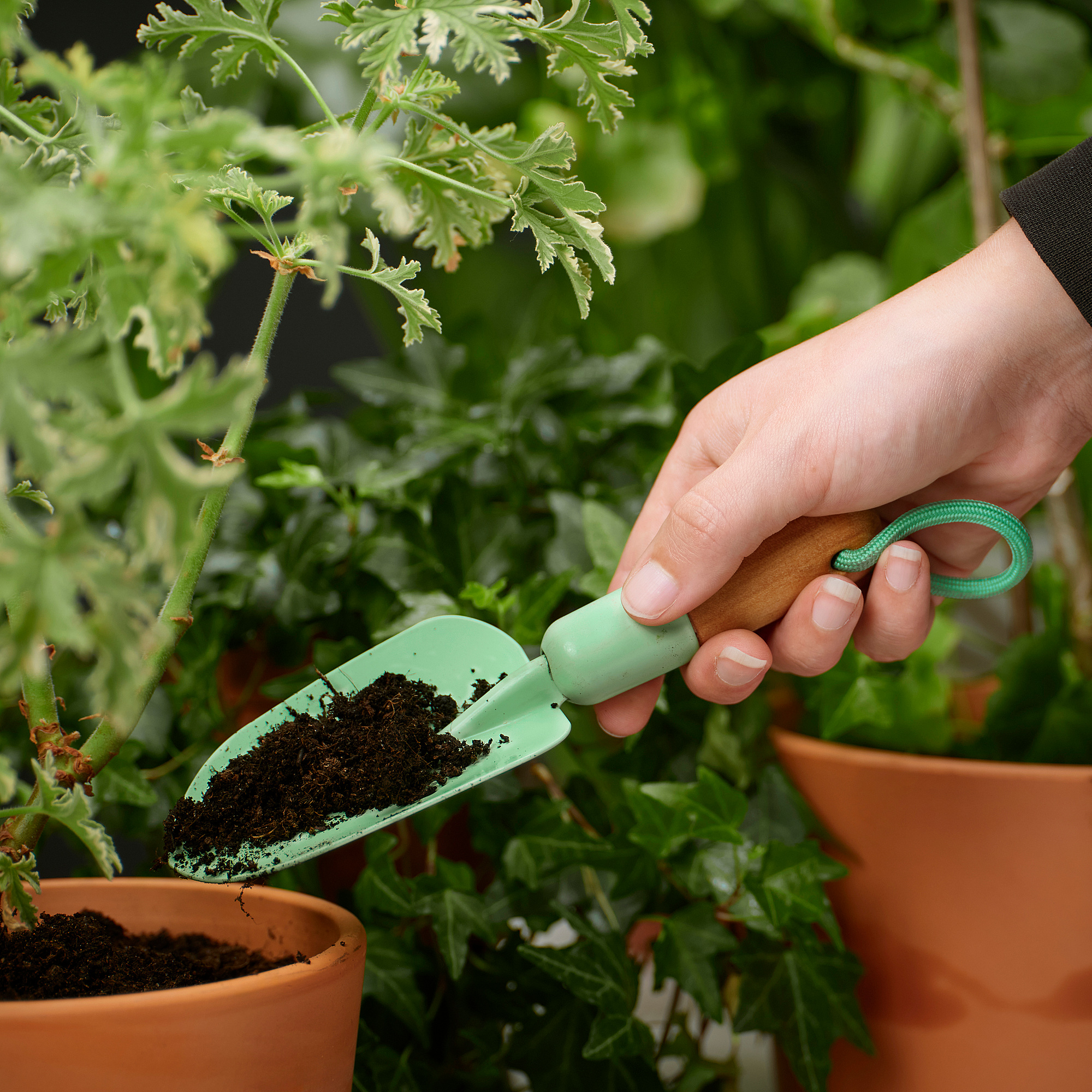 LÄRKAR 園藝工具 2件組