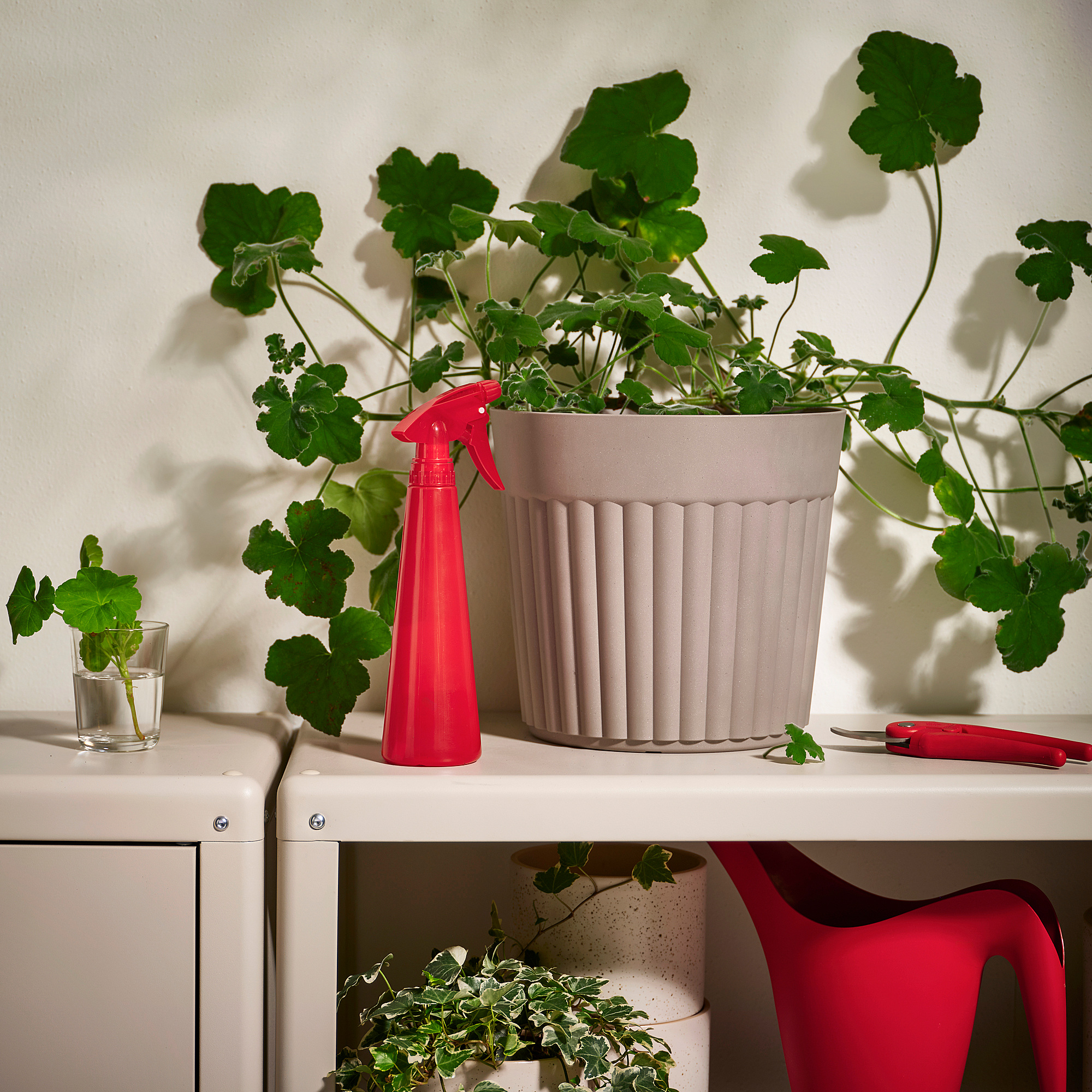 TOMAT 噴式澆水瓶