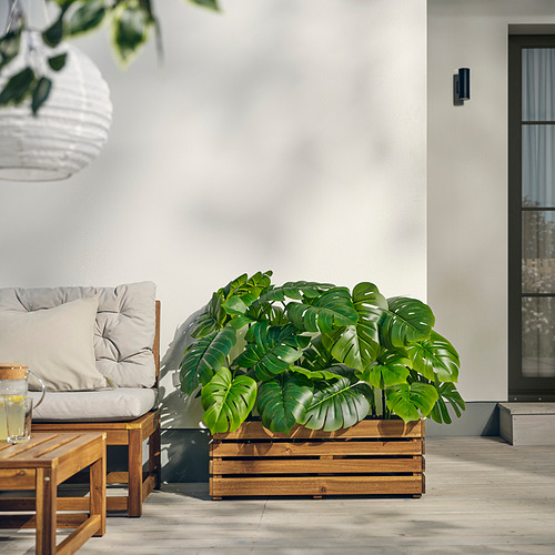 STJÄRNANIS flower box