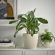 PERSILLADE plant pot