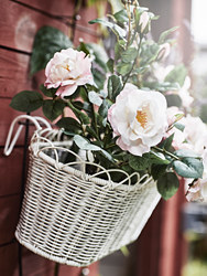 FEJKA - 人造盆栽, 室內/戶外用/雛菊 粉紅色 | IKEA 線上購物 - PE686807_S3