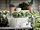GALIAMELON - flower box with holder, in/outdoor white | IKEA Taiwan Online - PE811094_S1
