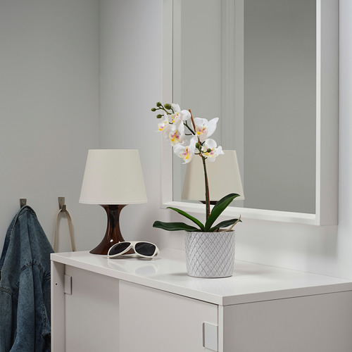 FEJKA - 人造盆栽, 蘭花 白色 | IKEA 線上購物 - PE755671_S4