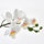 FEJKA - 人造盆栽, 蘭花 白色 | IKEA 線上購物 - PE755670_S1