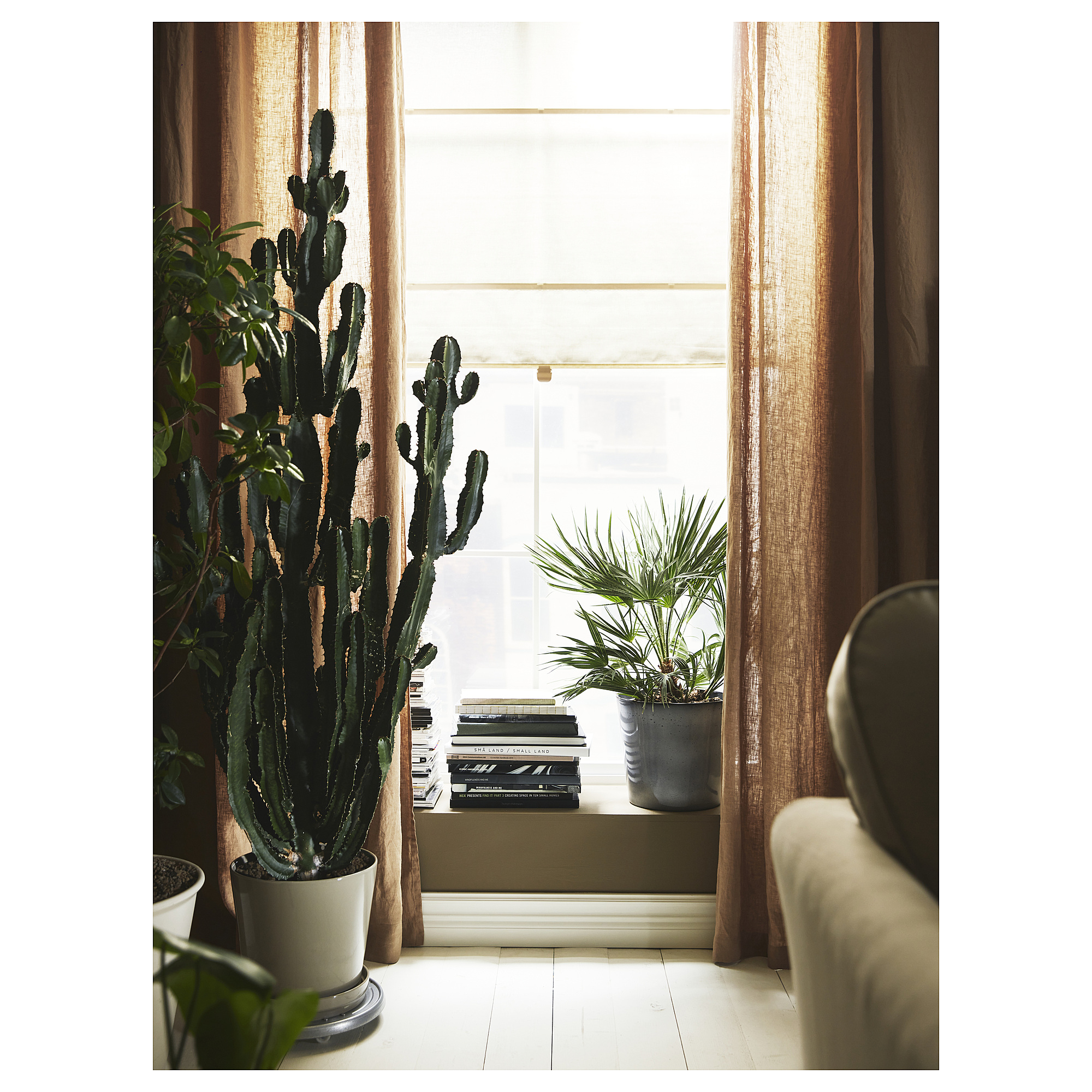 RINGBLOMMA Roman blind
