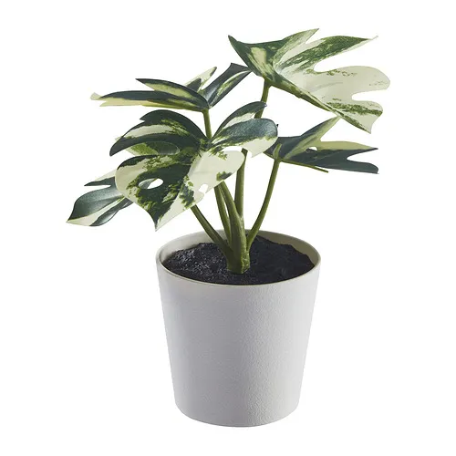 FEJKA - artificial potted plant with pot, in/outdoor Monstera, 6 cm | IKEA Taiwan Online - PE959463_S4