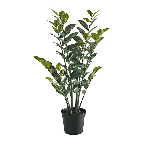 FEJKA - 人造盆栽, 室內/戶外用 金錢樹, 15 公分 | IKEA 線上購物 - PE959469_S4
