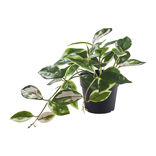 FEJKA - 人造盆栽, 室內/戶外用/. 眼樹蓮, 9 公分 | IKEA 線上購物 - PE959471_S4