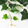 SMYCKA - 人造花環, 室內/戶外用/常春藤 綠色 | IKEA 線上購物 - PE811954_S1