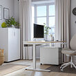 MITTZON desk