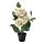 FEJKA - 人造盆栽, 室內/戶外用/繡球花 綠色 | IKEA 線上購物 - PE717271_S1