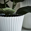 VINTERFINT plant pot