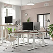 MITTZON desk sit/stand