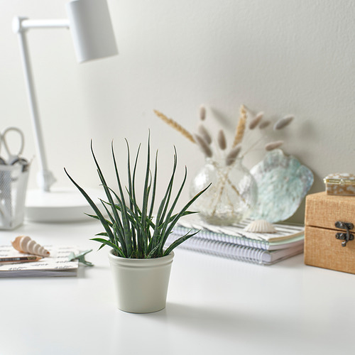 KÖRSBÄRSBJÖRK plant pot