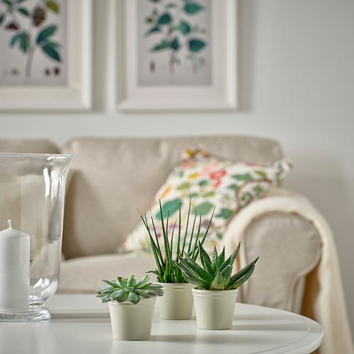 KÖRSBÄRSBJÖRK plant pot