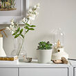KÖRSBÄRSBJÖRK plant pot