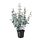 FEJKA - 人造盆栽, 室內/戶外用 尤加利木 | IKEA 線上購物 - PE718059_S1