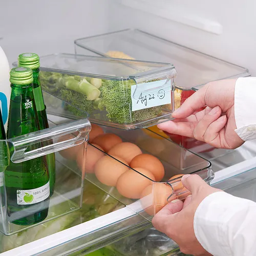 KLIPPKAKTUS storage box for fridge