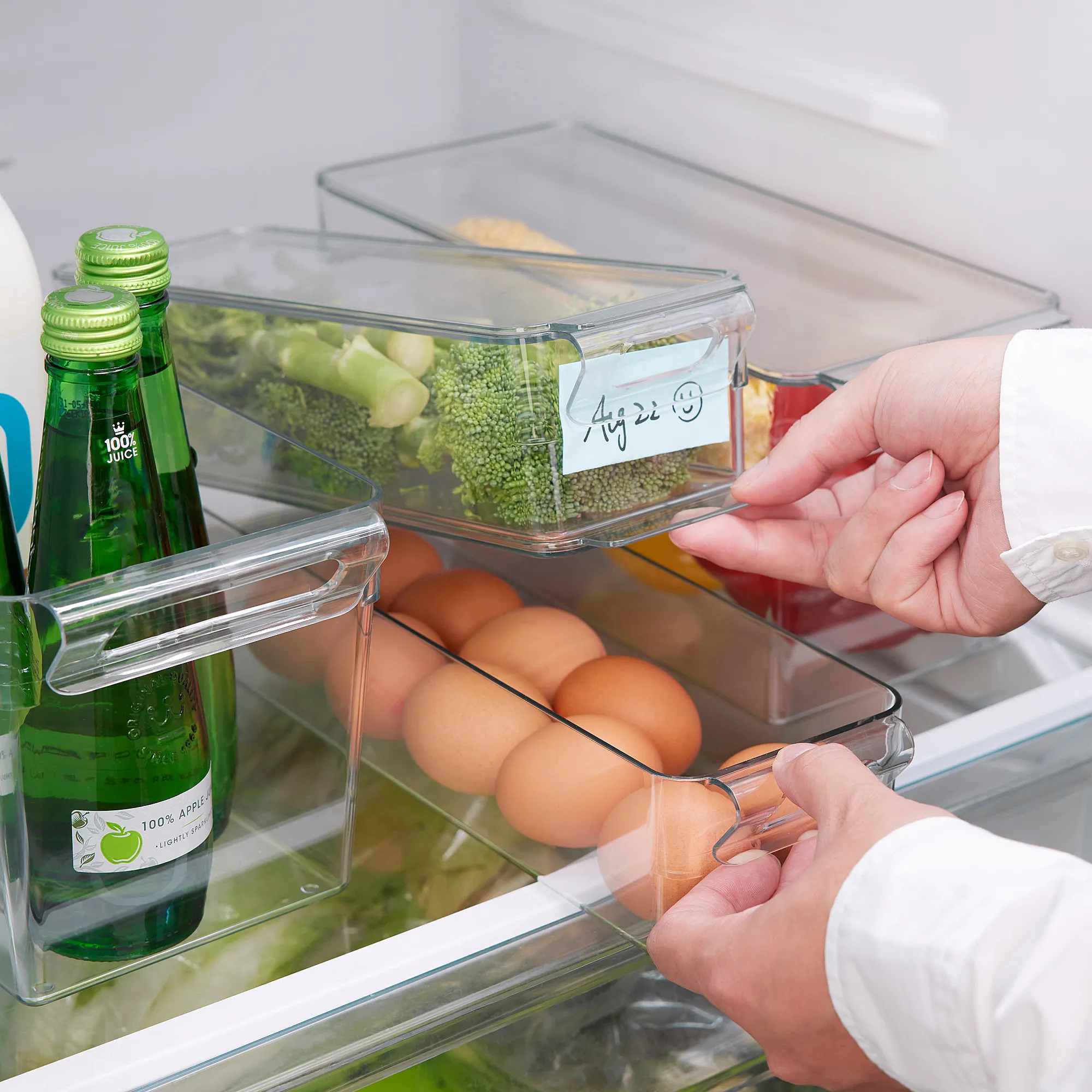 KLIPPKAKTUS storage box for fridge